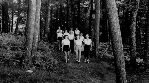 Green Bay Girl Scouts And Counselors On Woodland Trail At Lost Lake Organization Camp, Chequamegon-Nicolet