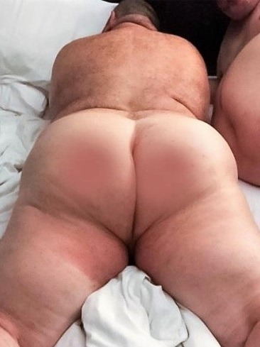 adoro gli orsi