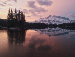 teapalm:  Sunrise over Mount Rundle ( @teapalm