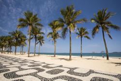 braaazil:  Palm trees by the distinctive wavy tile pavement at Ipanema Beach.