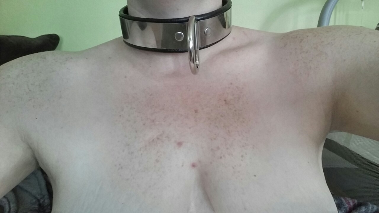 wifeslut420:  Master made me sleep in my collar last night. Not sure if it was for