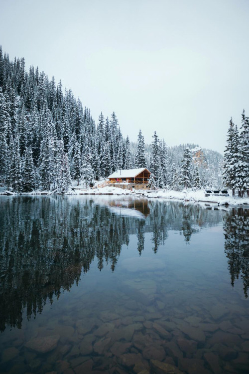 banshy:  Untitled by: Jamie Justus Out 