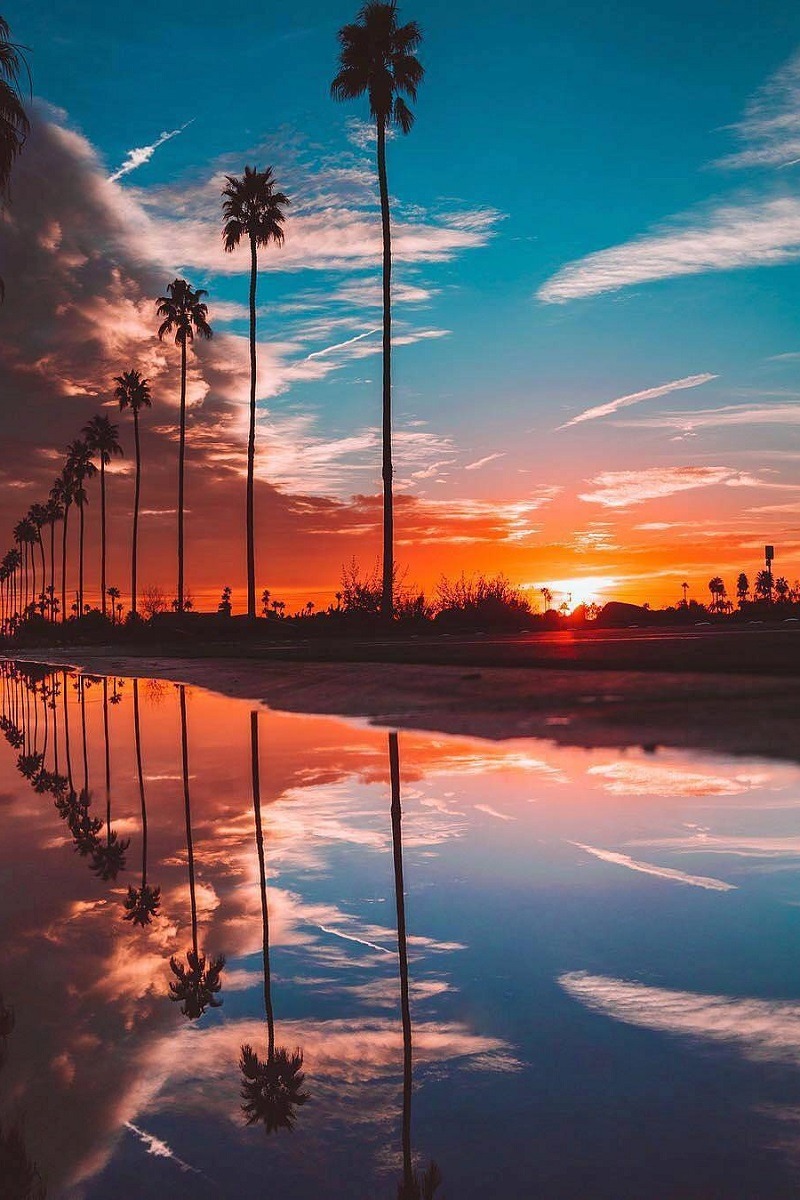 alecsgrg:  By: Sean McGee