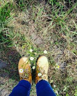 virymm19:  Sé como una flor que da su fragancia incluso a la mano que la aplastó. 🌺