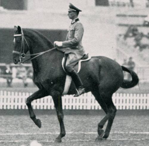 theclassicalhorse: 1936 Summer Olympics in Berlin ~ Heinz Pollay riding Kronos (x)