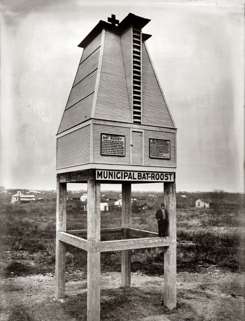 architectureofdoom:Bat roost, San Antonio, Texas, circa 1910-15