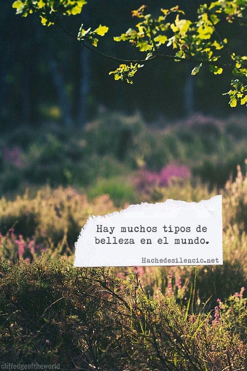 Hache de silencio