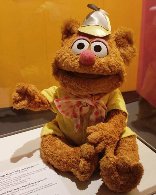 themuppetmasterencyclopedia:Baby Fozzie Bear on Display