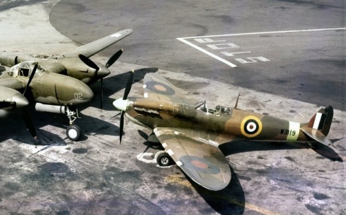 Lockheed P-38 Lightning And Spitfire No. W3119 Sitting Nose To Nose On The Ground At Lockheed Air Terminal