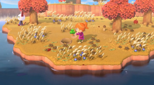 kainhurst:First look at Animal Crossing: New Horizons. Releasing March 20, 2020.