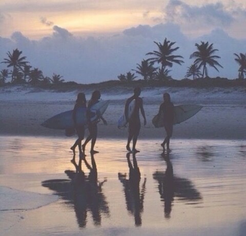 asurferdreams:  Surfing posts