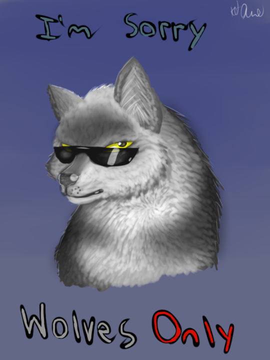 tumblr photo theshitfuck-png 7