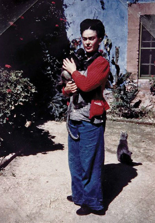  Famous Artists With Their Cats 1. Ai Weiwei 2. Salvador Dali 3. Frida Kahlo 4. Pablo Picasso 5. Henri Matisse 