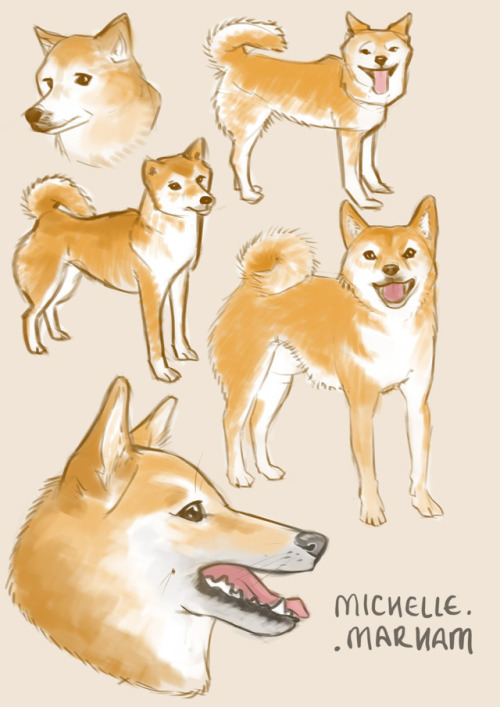Sketching cute doggos to get back into the swing of things