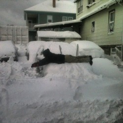 Planking New England style.  #planking #newengland #blizzard13 #snow