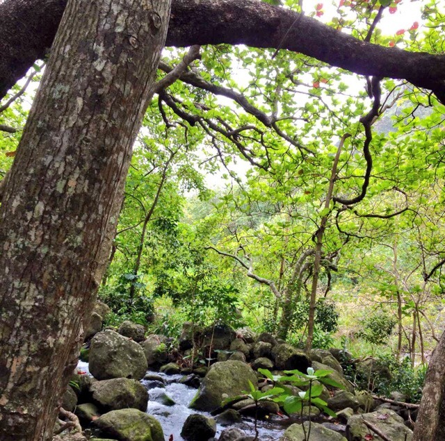 kyst808:  Take care of the beautiful world we live in