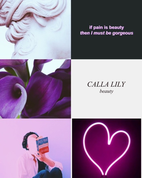 violet baudelaire + victorian flower language [1/?]