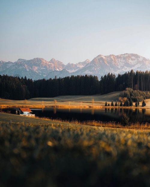 The evening always deliversby Carl Berndt 