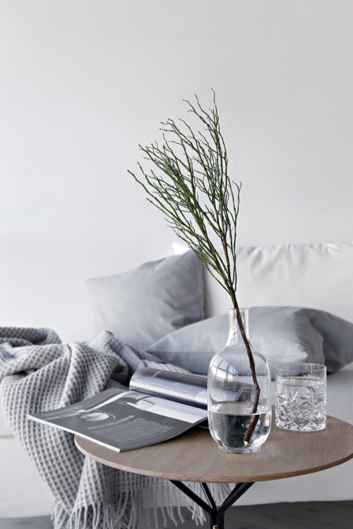 blancuie:via stylizimo