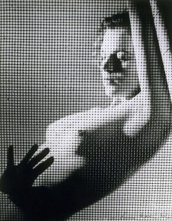 adanvc:  Untitled (Nude behind screen) 1930s.