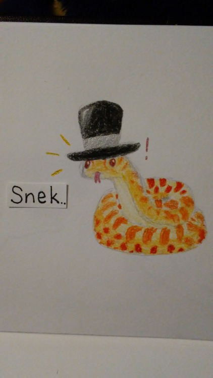 meme-loving-stuck:  meme-loving-stuck:   meme-loving-stuck:   meme-loving-stuck:   meme-loving-stuck:   HEY TUMBLK   your wish is my command…  He Is Here   yes, for you..  he Has Arrived…   yes! a bold request..   Frosty….Stealth   BUT OF COURSE
