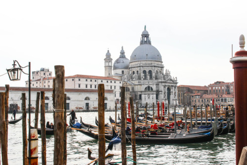 Gondolas in Venice, Italy anniewearsit.com/a-guide-to-venice-italy/