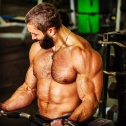 Hairy Bodybuilders