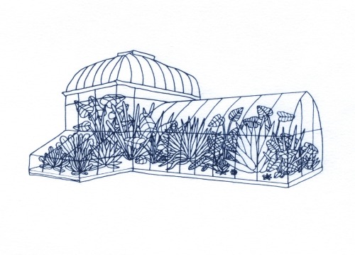 Glasshouses, 2014 Ebony Eden