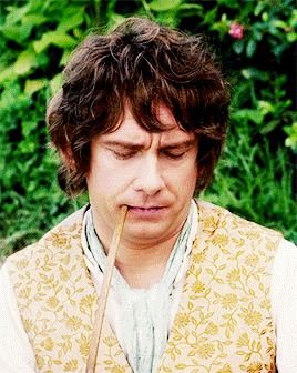 fairyshire: The Hobbit: An Unexpected Journey
