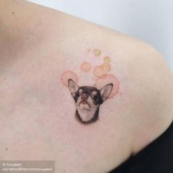I made this Chihuahua tattoo today in memorial of my clients sweet baby  Ana   rChihuahua