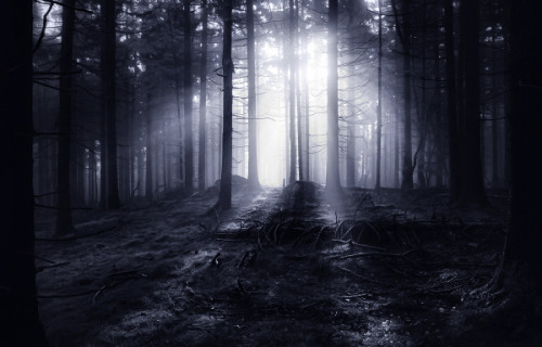 The Dark Forest I © Kilian Schönberger Facebook Kilian Schoenberger Photography Website Kilian 