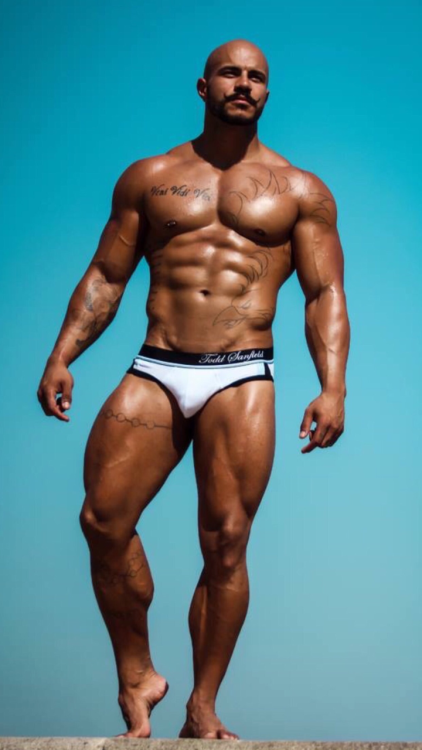 BODYBUILDERS FOR GAYS