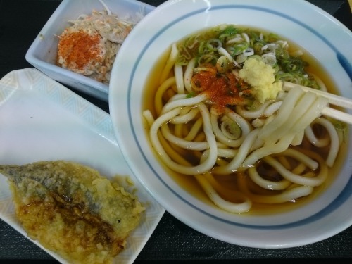 udonangya:どんどん庵桜通大津店で、うどん270、いわし天ぷら110、サラダ100、〆て480円也。Udon, Sardine tempura, and Salad at the Sakura