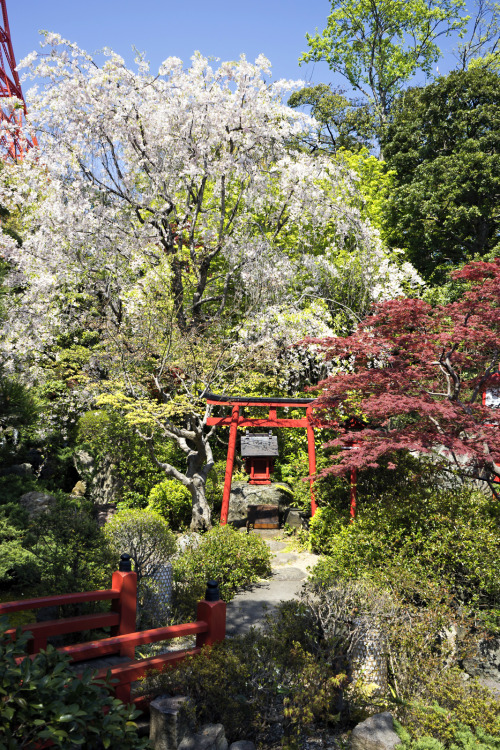 photos91: The amazing gardens of the Tofuya-Ukai restaurant in Tokyo. Right next to the Tokyo T