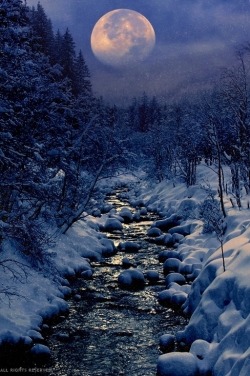 heaven-ly-mind:  Winter Creek by Peter From on 500px  