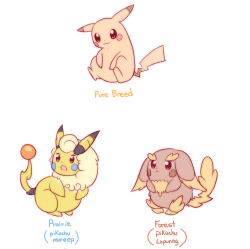 raidraws:  inspired by too-much-green ! variations of pikachu bred with other pokemon (: