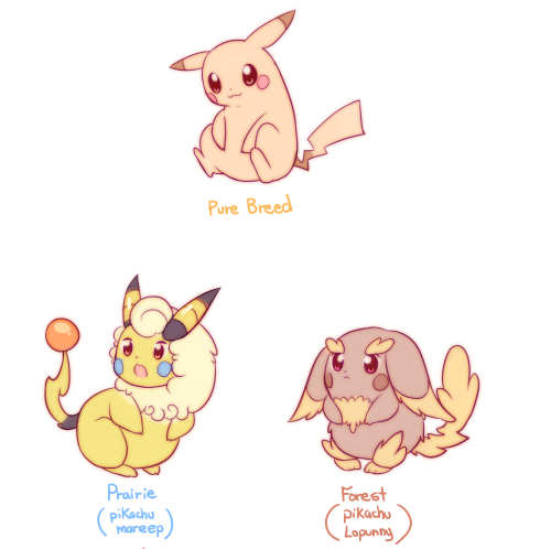 raidraws:  inspired by too-much-green ! variations of pikachu bred with other pokemon (:  OMG! <3 <3 <3