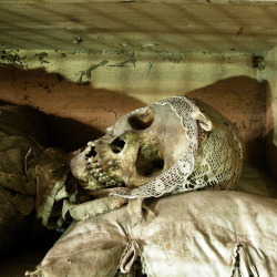 skullissima:  Squelette de la crypte des Capucins 