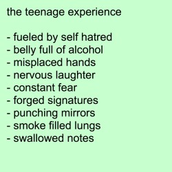kidslut:  the teenage experience 