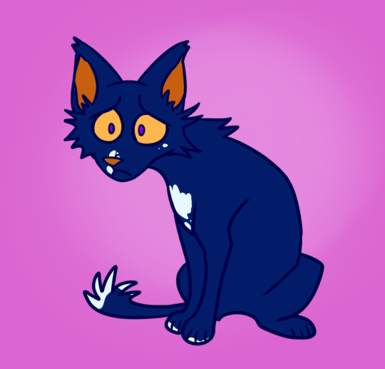 warrior cat designs — Ravenpaw Loner “Oh, Barley. You know me so