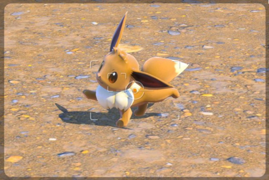 pokemonpostsdaily:  