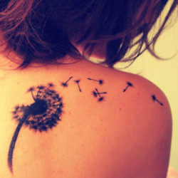 cutelittletattoos:  Little back tattoo of