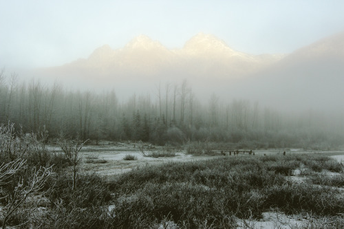 Porn Pics alexstrohl:  On assignment in Alaska for