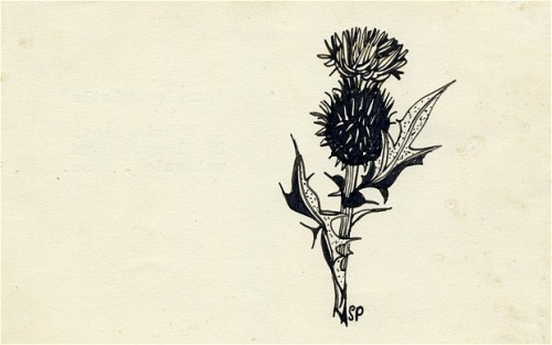 a drawing by Sylvia Plath Purple Thistle. Pen and ink on paper. Signed with initials; typed on the r