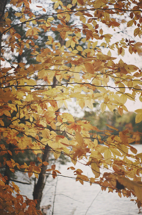 lemographie:Gloomy October Day | Laura Marshall