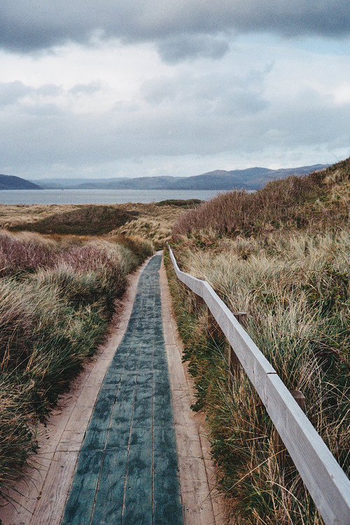                 Hipster &amp; Indie Photography Blog ☯       