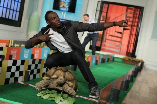 yoheezy:frantzfandom:awisemanoncesaidnothing:Usain Bolt posing with his winning tortoise at a tortoi
