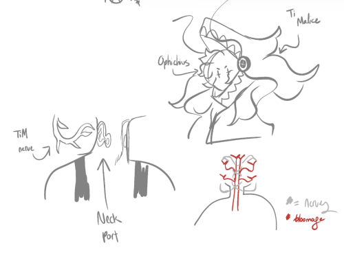LIVING HELMS, PILOTS