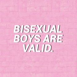 sheisrecovering:  bisexuality is valid.