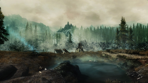 Landscape